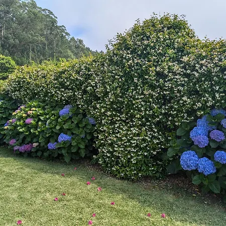 Σπίτι διακοπών Casita Curbeiros O Grove