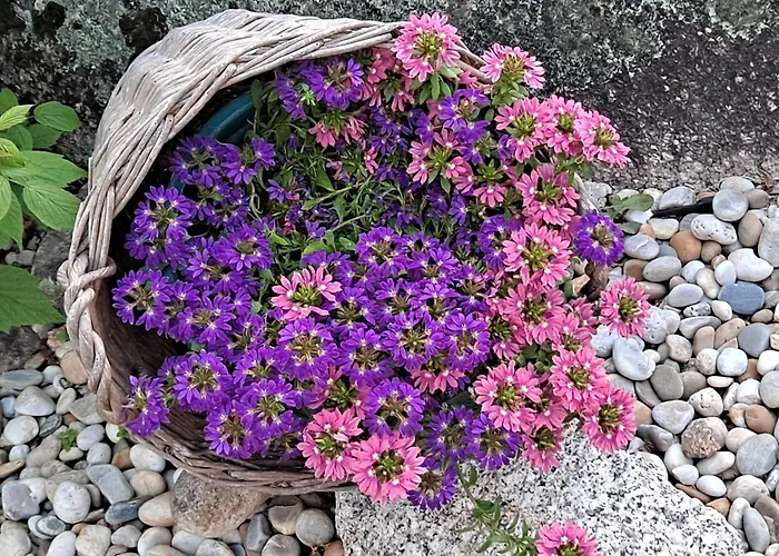 Casita Curbeiros * O Grove