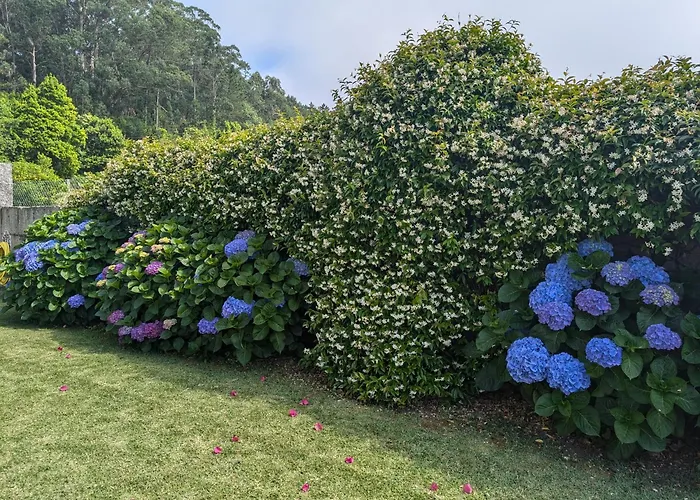 Σπίτι διακοπών Casita Curbeiros O Grove